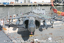BAe_AV-8C_Harrier_Walkaround_159232_Intrepid_2016_54_GraemeMolineux