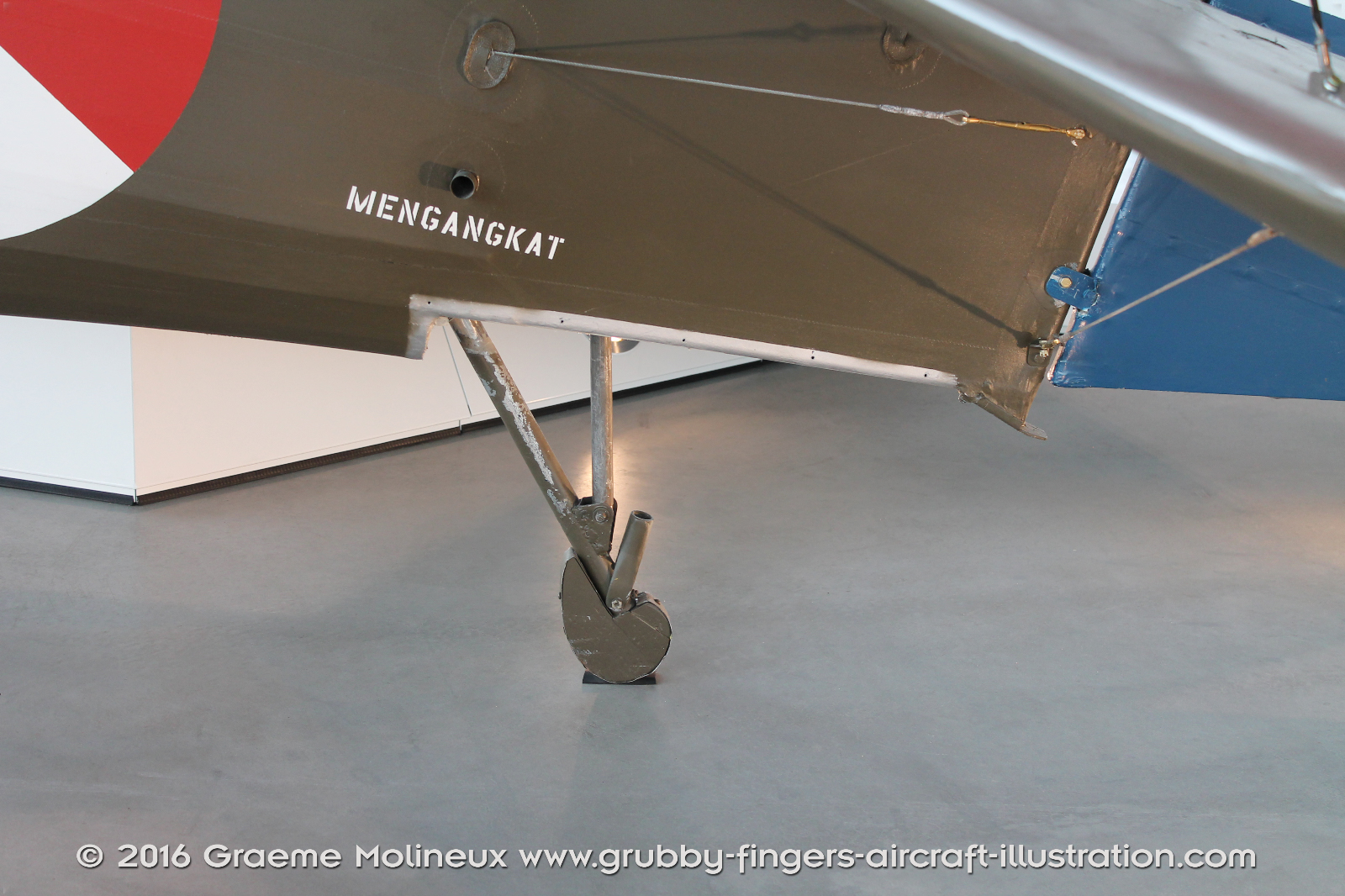 Curtiss_P-6E_Walkaround_C319_Netherlands_Military_Museum_2015-34_GraemeMolineux