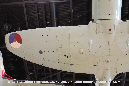 Hawker_Sea_Fury_Walkaround_6-43_Kon_Marine_Netherlands_2015_9_GraemeMolineux