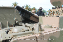 M113-AS4_206642_Army_Cerberus_2013_045_GrubbyFingers