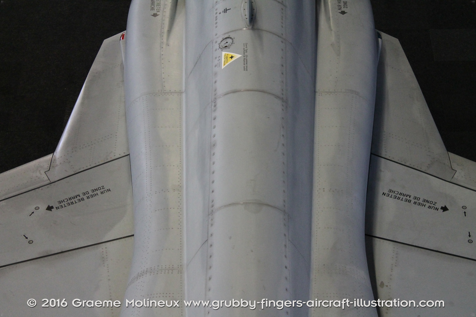 NORTHROP_F-5E_Freedom_Fighter_J-3098_Swiss_Air_Force_Museum_2015_14_GrubbyFingers