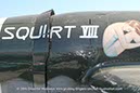 %_tempFileNameRepublic_P-47D_Thunderbolt_NX47RP_USAF_Palm_Springs_Walkaround_90_GrubbyFingers%