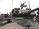 aslav_walkaround_18381_30mm_turret_avalon_2011_20