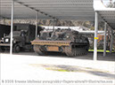 leopard_arv_32932_bandiana01