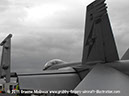 mdd_fa-18f_super_hornet_walkaround_a44-209_avalon_2011_23