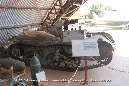 Beck_Collection_Mareeba_10_GrubbyFingers