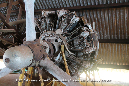 Beck_Collection_Mareeba_36_GrubbyFingers