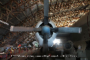 Beck_Collection_Mareeba_40_GrubbyFingers