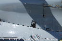 Airbus%20H145%20P2-PHC%20Pacific%20Helicopters%20Avalon%202017%2037%20Graeme%20Molineux