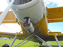 Antonov_AN2_Colt_VH-CCE_Lilydale_034