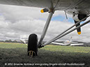 Antonov_AN2_Colt_VH-CCE_Lilydale_099