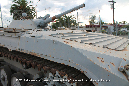BMP1_Miramar_Walkaround_26_GrubbyFingers