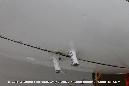 Breguet_Atlantic_BR_1150_250_Kon_Marine_Netherlands_2015_055-GraemeMolineux
