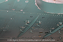 %_tempFileNameCAC_Wirraway_Walkaround_A20-653_VH-BFF_Temora_2014_24_GrubbyFingers%