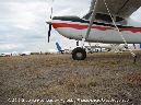 CESSNA_180_Walkaround_VH-UUM_Avalon_2009_15_GrubbyFingers