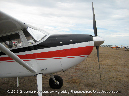 CESSNA_180_Walkaround_VH-UUM_Avalon_2009_25_GrubbyFingers