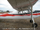 CESSNA_180_Walkaround_VH-UUM_Avalon_2009_27_GrubbyFingers