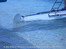 DHC-2_Beaver_DQ-GWW_Fiji_023
