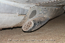 Dh_Vampire_F30_A79-89_Beck_41_GrubbyFingers