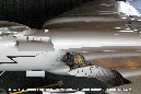 EFW_N-20_SWISS_AIR_FORCE_08_GrubbyFingers