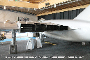 EFW_N-20_SWISS_AIR_FORCE_29_GrubbyFingers