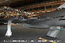 EFW_N-20_SWISS_AIR_FORCE_43_GrubbyFingers