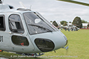 %_tempFileNameEurocopter_Squirrel_N22-001_RAN_Cerberus_010_GrubbyFingers%