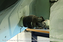 %_tempFileNameFairey%20Swordfish%20HS469%20RCN%20Halifax%202016%2063%20GraemeMolineux%