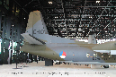 Fokker_F-27_Troopship_C_10_Netherlands_2015_092_GraemeMolineux