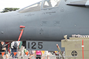 %_tempFileNameGeneral_Dynamics_F-111_Walkaround_A8-125_Point_Cook_2014_05_GrubbyFingers%
