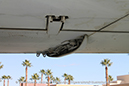 %_tempFileNameGrumman_A-6_Intruder_154162_USN_Miramar_Walkaround_%2042_GrubbyFingers%
