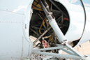%_tempFileNameGrumman_F4F-3_Wildcat_F-3_USN_Palm_Springs_Walkaround_20_GrubbyFingers%