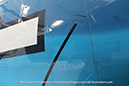 %_tempFileNameGrumman_F6F-5_Hellcat_NX4964W_Palm%20Springs_Walkaround_18_GrubbyFingers%