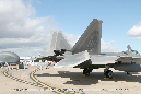 LOCKHEED_MARTIN_F-22_Walkaround_051_Avalon_Airshow_2015_19_GrubbyFingers