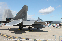 LOCKHEED_MARTIN_F-22_Walkaround_051_Avalon_Airshow_2015_20_GrubbyFingers