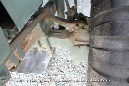 M939_Tractor_M970_Fuel_Trailer_USMC_Miramar_083_GrubbyFingers