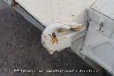 MT-LB_Miramar_Walkaround__20_GrubbyFingers
