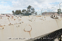 MT-LB_Miramar_Walkaround__27_GrubbyFingers