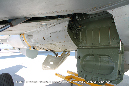 MiG_21_1112_Czech_Miramar_Walkaround_035_GrubbyFingers
