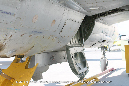 MiG_21_1112_Czech_Miramar_Walkaround_057_GrubbyFingers