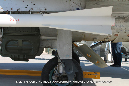 MiG_21_1112_Czech_Miramar_Walkaround_092_GrubbyFingers