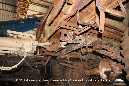 Quad_Limber_and_25_Pounder_Beck_35_GrubbyFingers