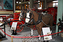 %_tempFileNameSHAND_MASON_1891_Steam_Fire_Engine_Walkaround_Penrith_2014_27_GrubbyFingers%