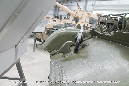 T-54-55%20Medium%20Tank%20Walkaround%20AAAM%202016%2070%20Graeme%20Molineux