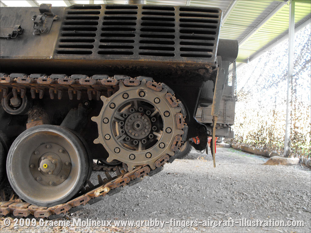 leopard_arv_32932_bandiana16