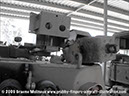 leopard_arv_32932_bandiana13