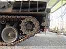 leopard_arv_32932_bandiana16