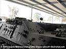 leopard_arv_32932_bandiana17