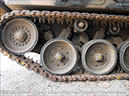 leopard_arv_32932_bandiana20