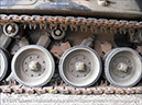 leopard_arv_32932_bandiana21
